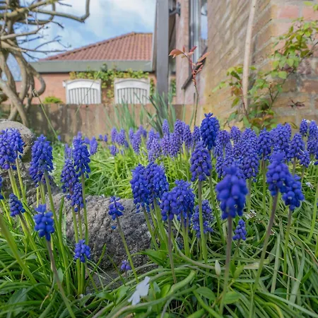 Vakantiebungalow Bij Het Grevelingenmeer 6a Nyaraló Herkingen